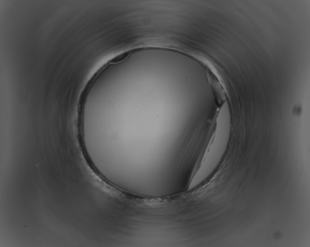 X0000095551147200801041325