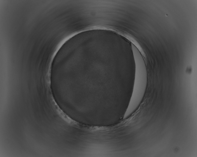 X0000095551148200801041325