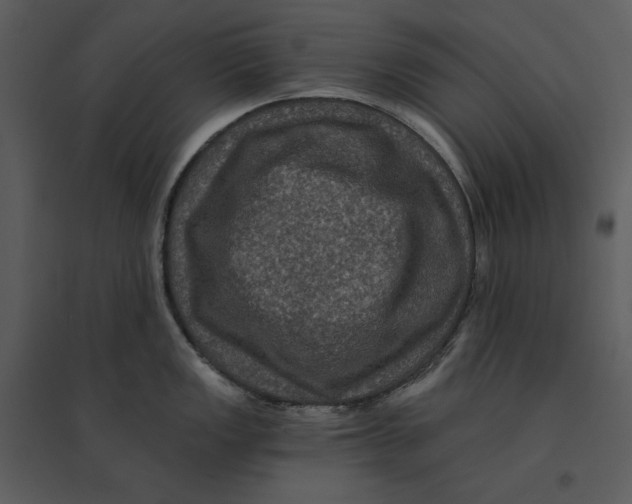 X0000095551149200801041325