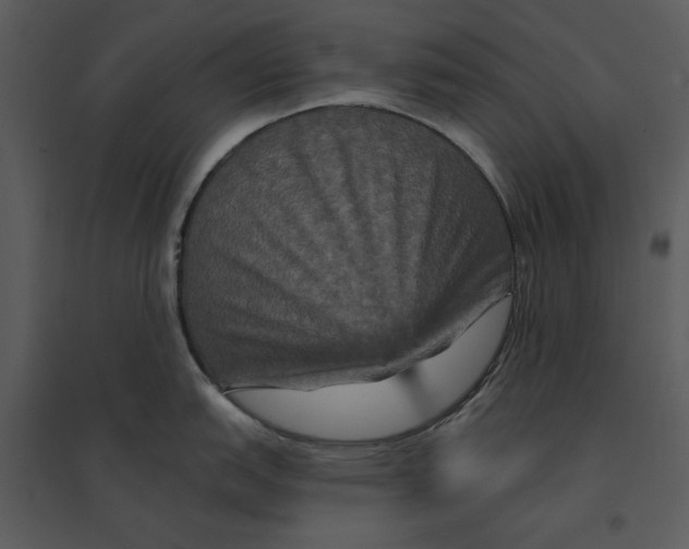 X0000095551151200801041325