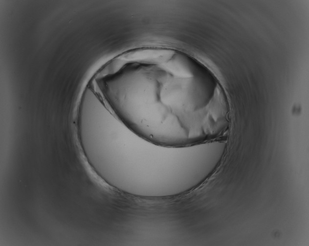 X0000095551152200801041325