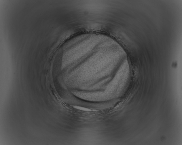 X0000095551153200801041325