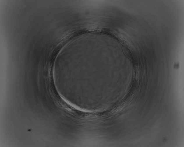 X0000095551154200801041325