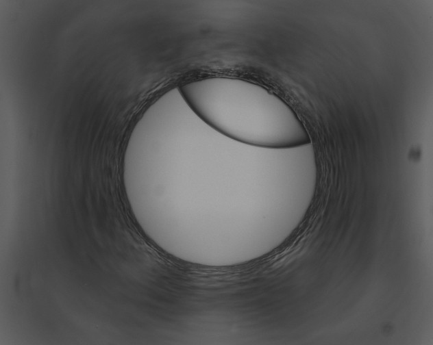 X0000095551156200801041325