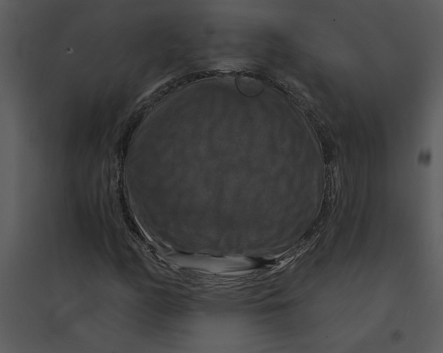 X0000095551158200801041325