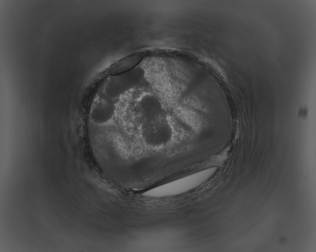 X0000095551159200801041325