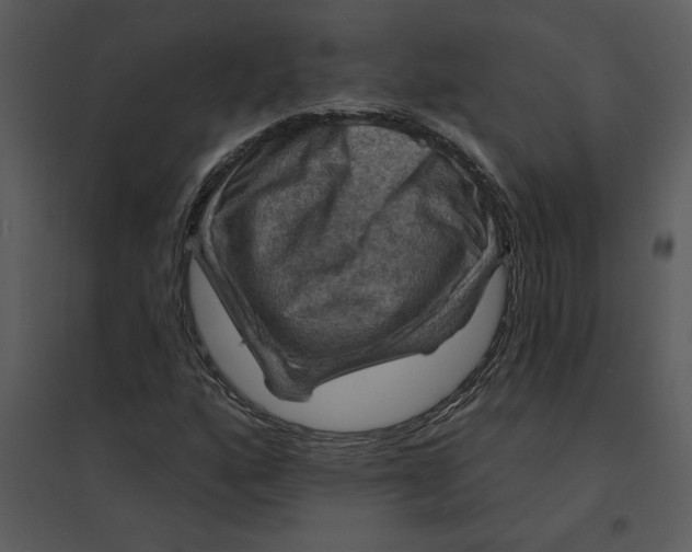 X0000095551160200801041325