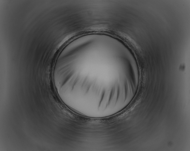 X0000095551162200801041325