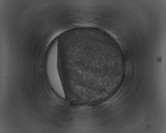 X0000095551163200801041325