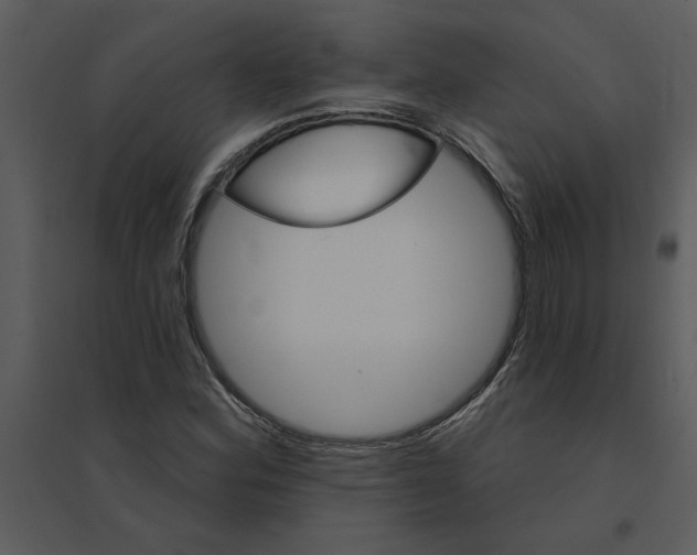 X0000095551164200801041325