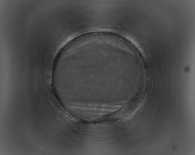 X0000095551165200801041325