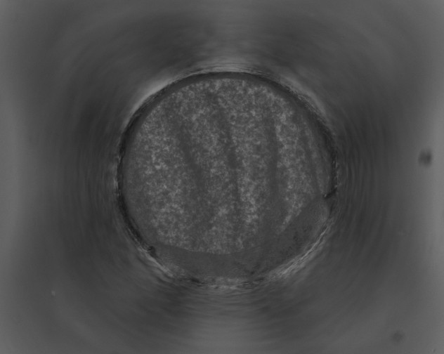 X0000095551166200801041325