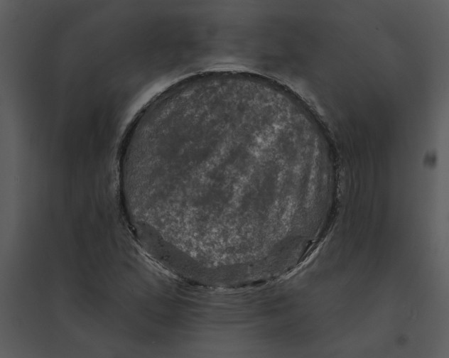 X0000095551167200801041325