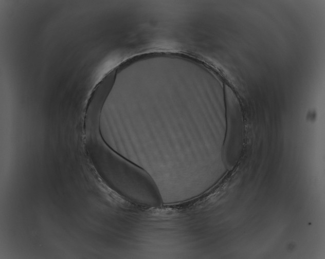 X0000095551168200801041324