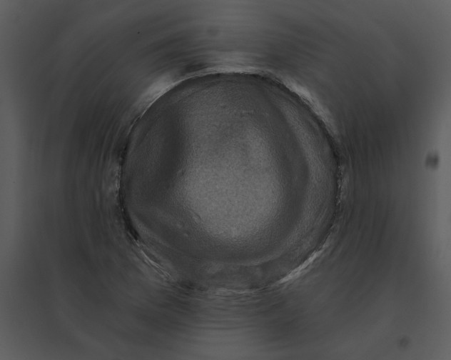 X0000095551169200801041324