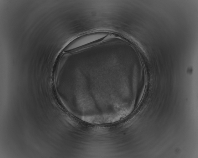 X0000095551170200801041324