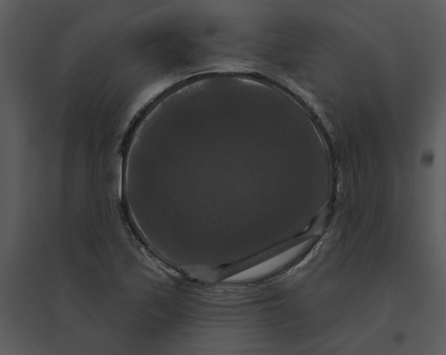 X0000095551171200801041324