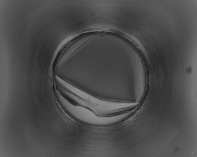 X0000095551172200801041324