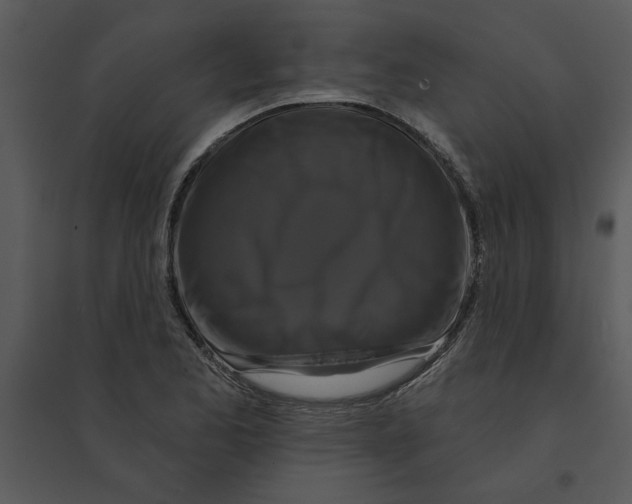 X0000095551173200801041324