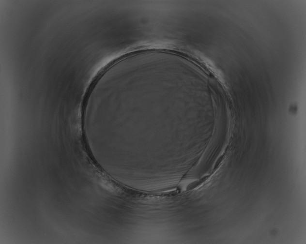 X0000095551174200801041324