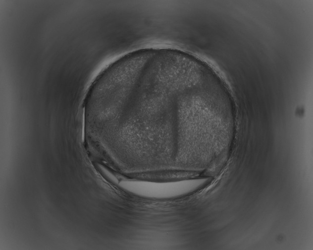 X0000095551175200801041324