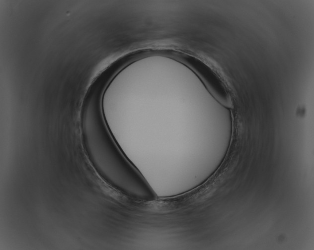 X0000095551176200801041324