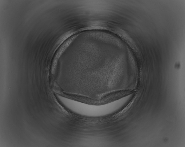 X0000095551177200801041324