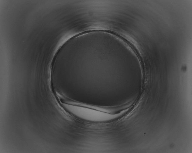 X0000095551179200801041324