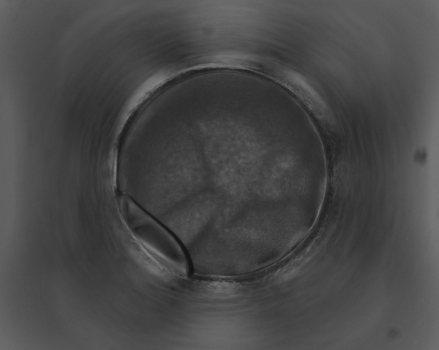 X0000095551180200801041324