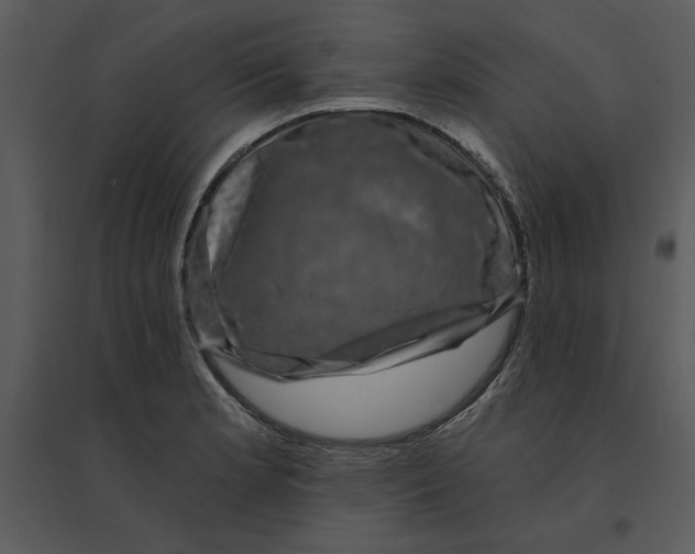 X0000095551181200801041324