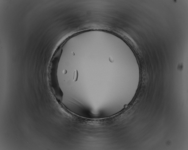 X0000095551182200801041324