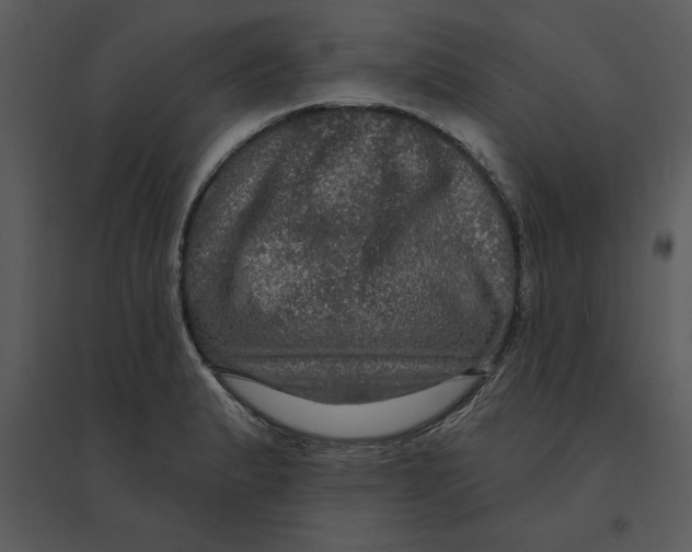 X0000095551183200801041324