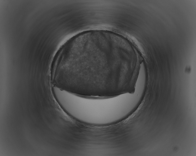 X0000095551184200801041324