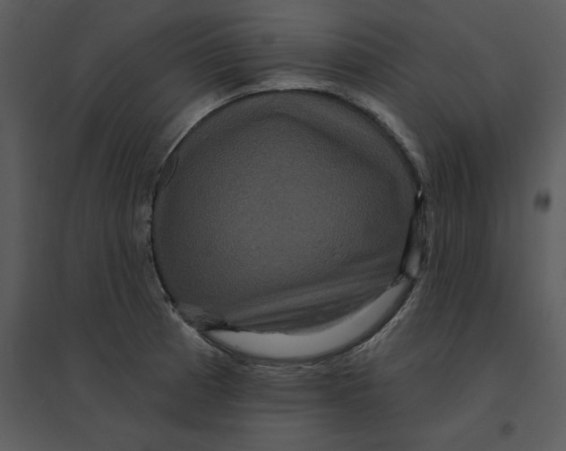 X0000095551185200801041324