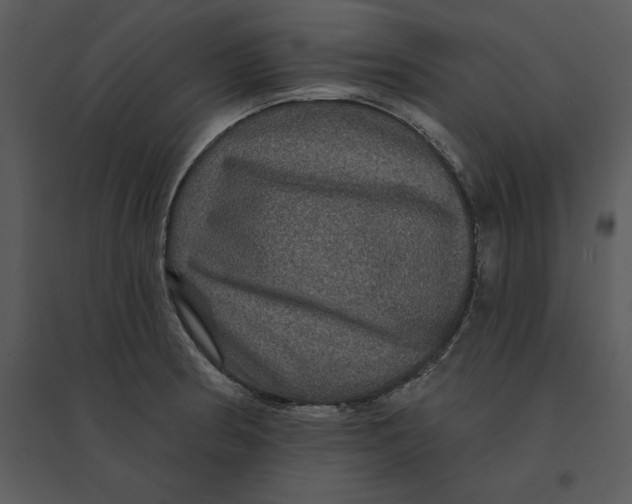 X0000095551186200801041324