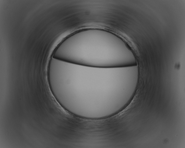 X0000095551188200801041324