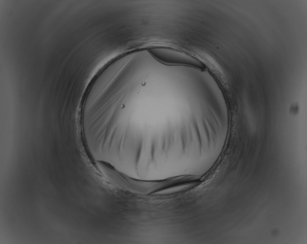 X0000095551190200801041324