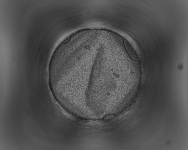 X0000095551191200801041324