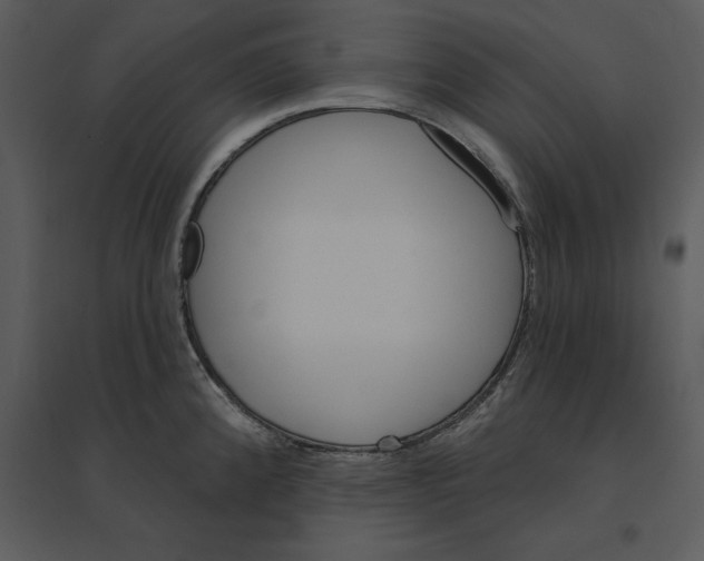 X0000095551192200801041324