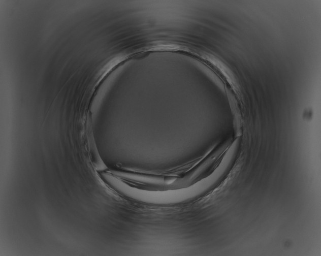 X0000095551193200801041324