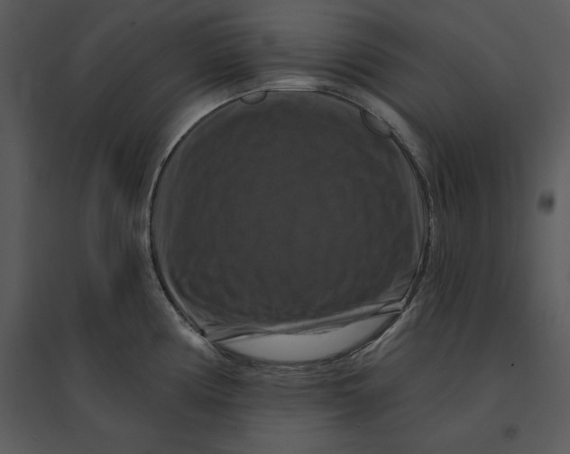 X0000095551194200801041324