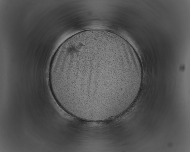 X0000095551195200801041324