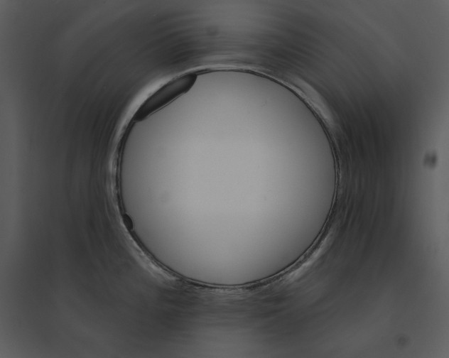 X0000095551196200801041324