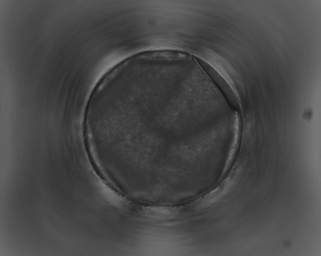 X0000095551197200801041324