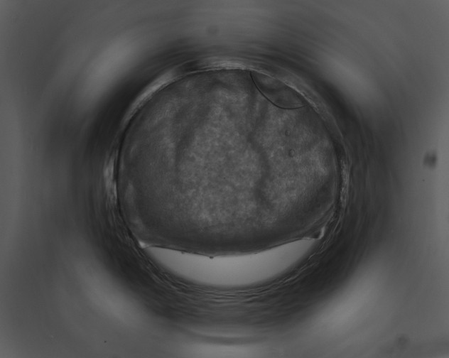 X0000095551198200801041324