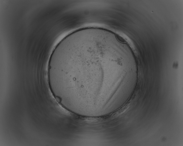 X0000095551199200801041324