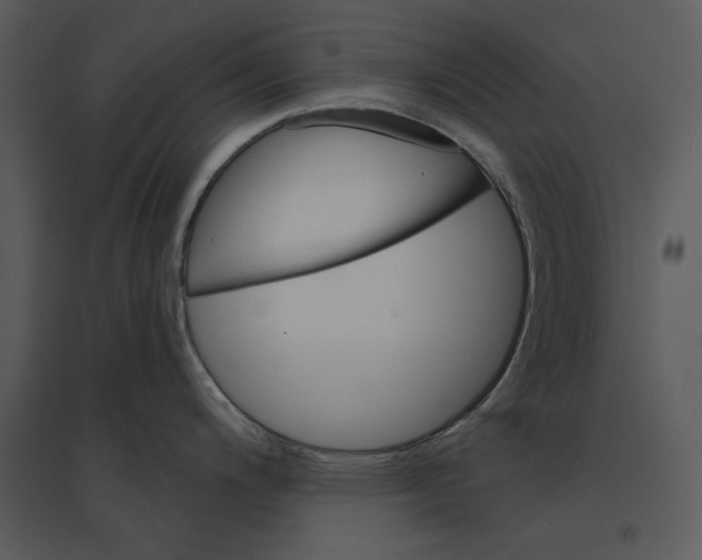 X0000095551200200801041324