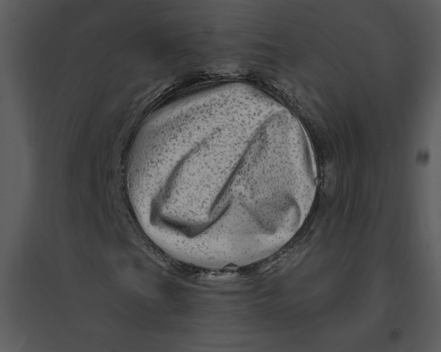 X0000095551201200801041323