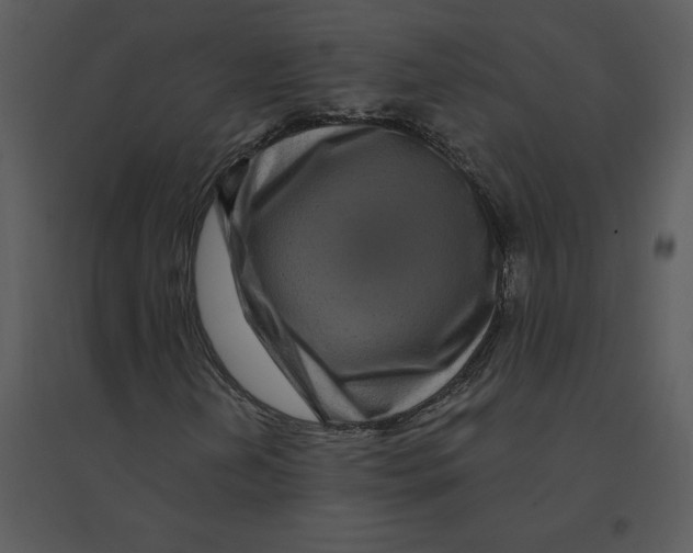 X0000095551202200801041323