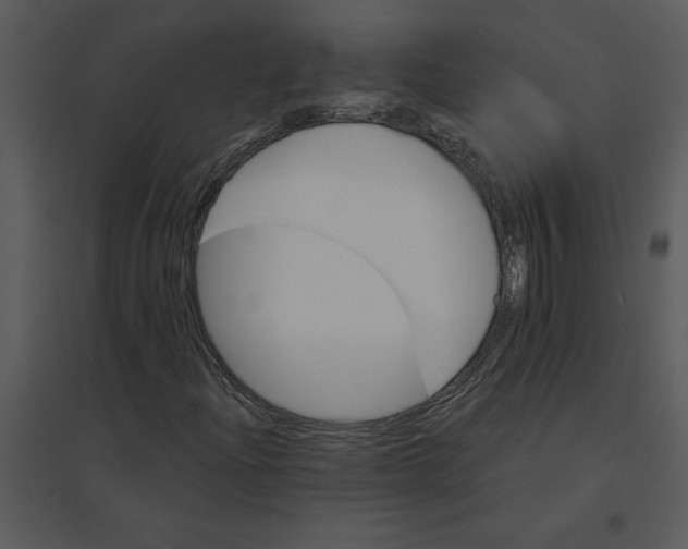 X0000095551204200801041323